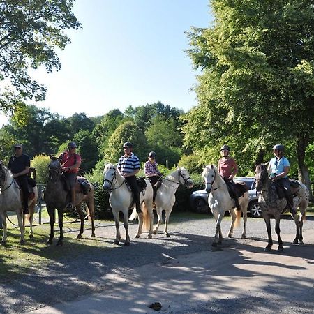 Les Chalets Du Moulin Du Chatain 4 Payzac  Eksteriør billede